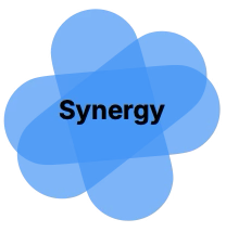 Synergy — codeless development protein-style Aptiv